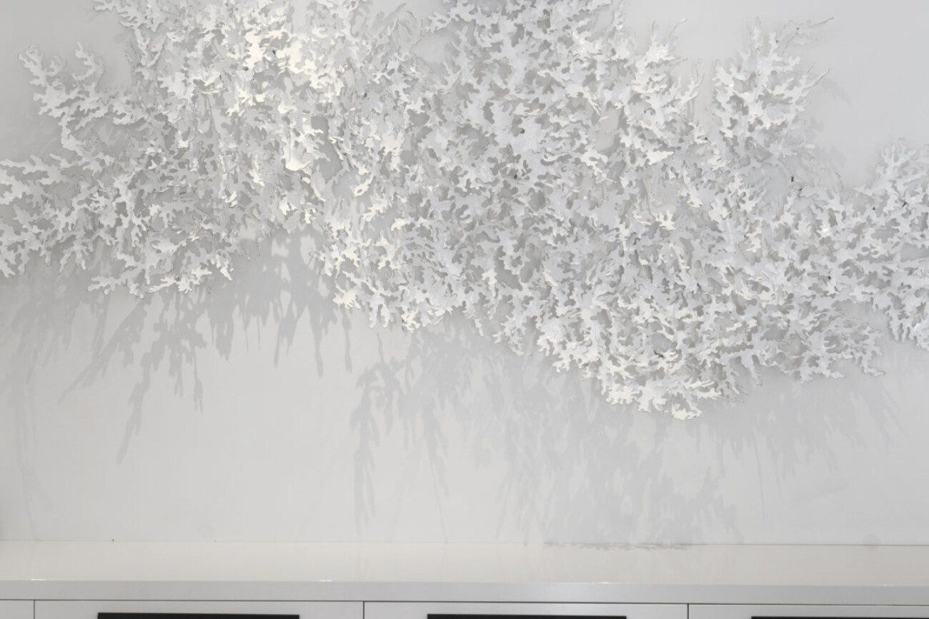 feature display lighting generating shadows on wall below