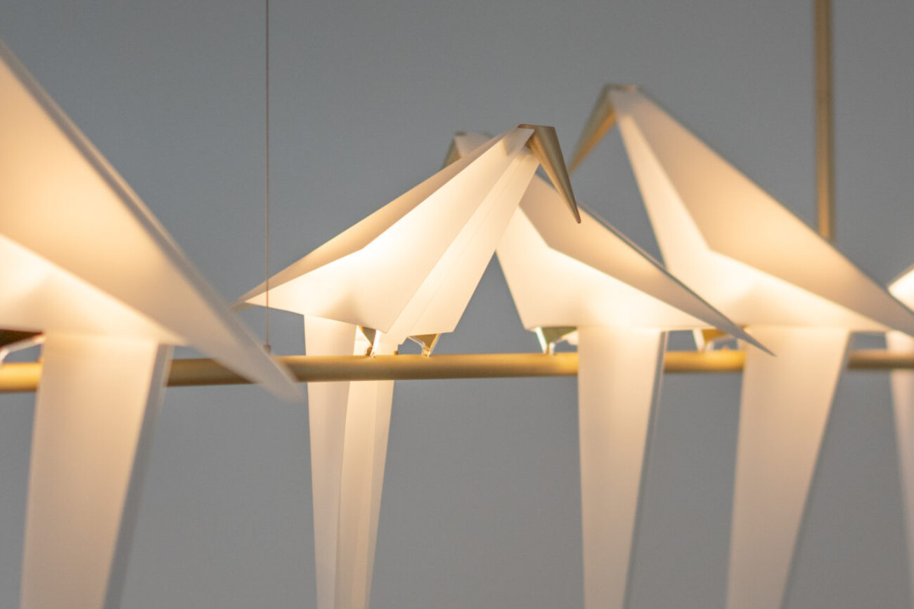 bird feature lighting